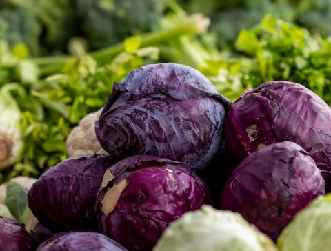 Fresh purple cabbages and other vegetables are on display.